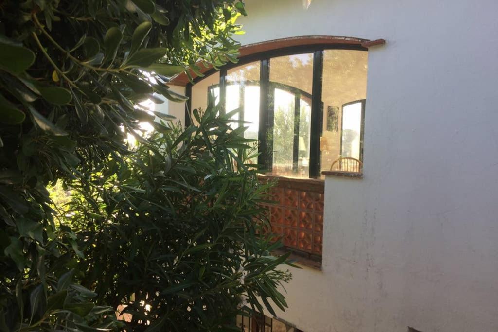 Jolie Villa Vue Mer - 100Km Au Nord De Barcelone - Pals Esterno foto